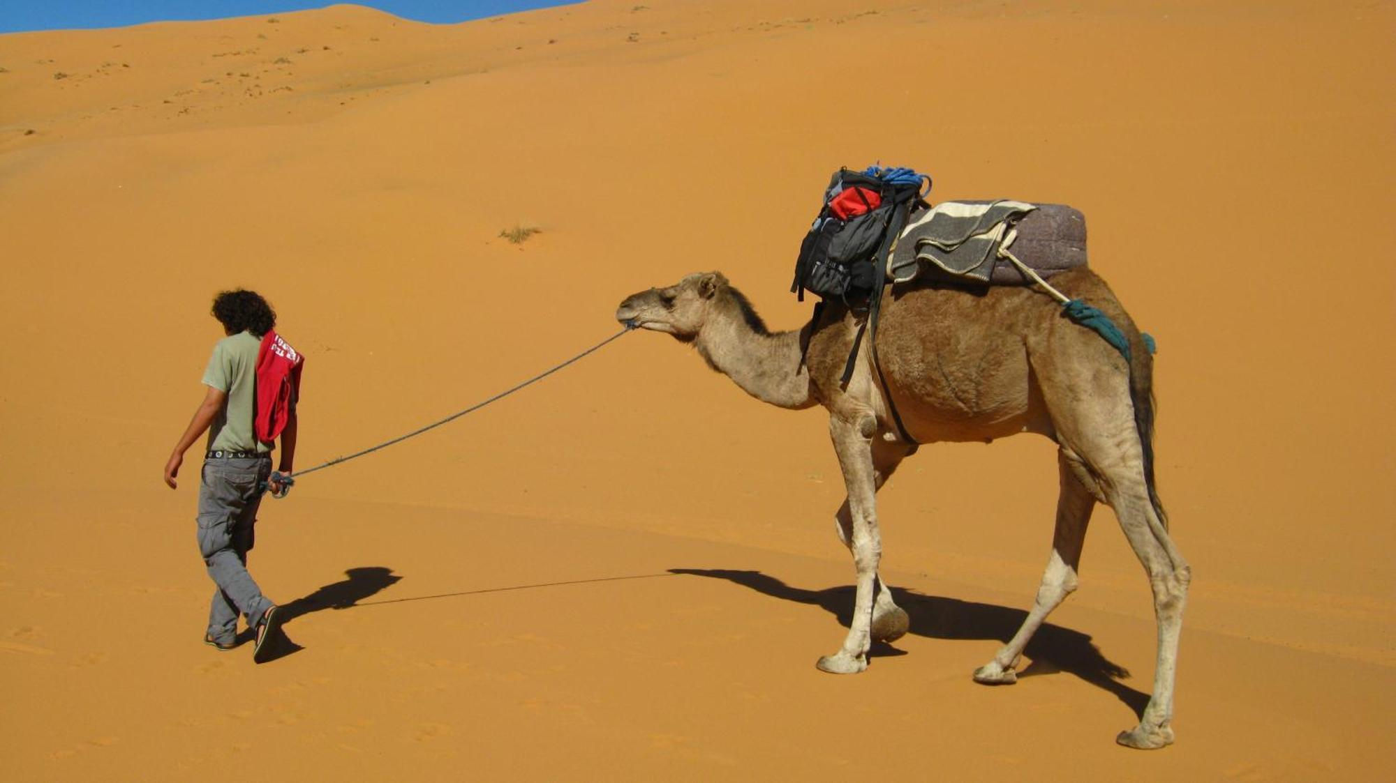 Auberge Camping Ocean Des Dunes Merzouga Zewnętrze zdjęcie